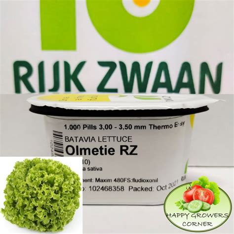 Olmetie Rz Green Batavia Lettuce By Rijk Zwaan Pelleted