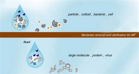 Microfiltration (commonly abbreviated to MF) is a type of physical ...