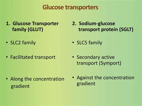 Drug Transporters Handbook Of Experimental Pharmacology 9
