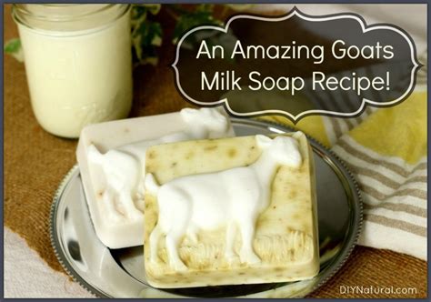 Goat Milk Soap Recipe This Also Works With Other Types Of Milk