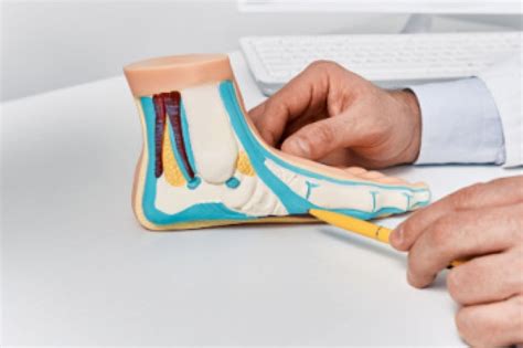 Causes and Symptoms of Flat Feet