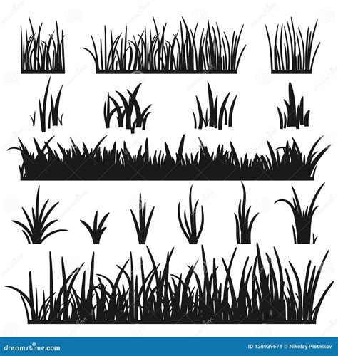 Set Of Black Grass Silhouettes Isolated On White Background Grass Heights Design Elements Of