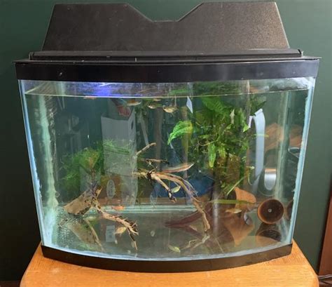 26 gallon bow front tank with lid, lights, stand | Classifieds for Jobs, Rentals, Cars ...