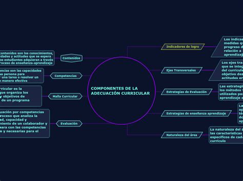 COMPONENTES DE LA ADECUACIÓN CURRICULAR Mind Map