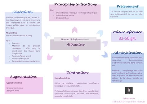 Inhibiteurs De L Enzyme De Conversion Iec Artofit