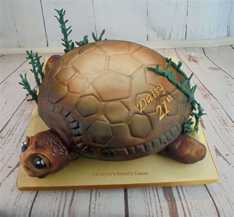 Sea Turtle Birthday Cake Turtle Birthday Cake Turtle Cake Sea