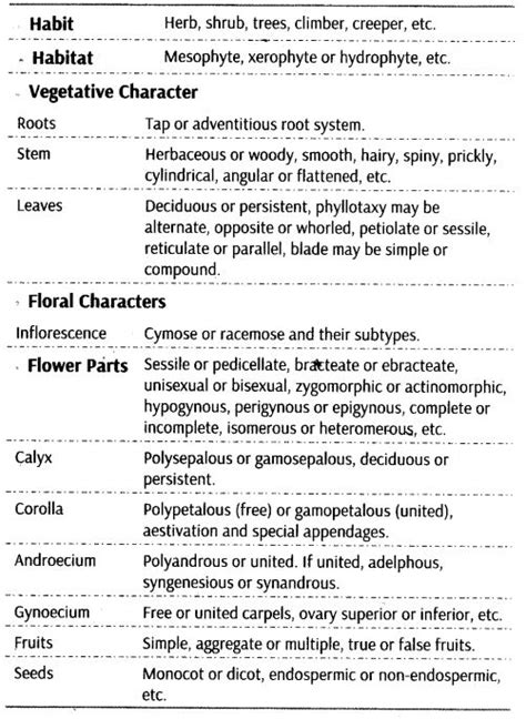 Notes Class 11 Biology Chapter 5 Morphology Of Flowering Plants