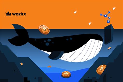 Which Is The Best Crypto Whale Tracker Why Are They Crucial Wazirx Blog