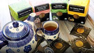 The Tremor Review New Sex Toys For Greater Sexual Pleasure