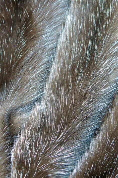 TYPES OF SABLE FURS: An Image Gallery to help you shop