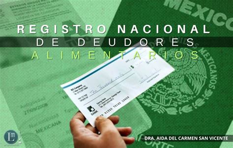 Registro Nacional De Deudores Alimentarios Latitud Megalópolis