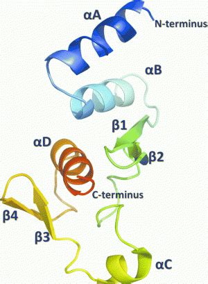 Protein Secrets Of Ebola Virus