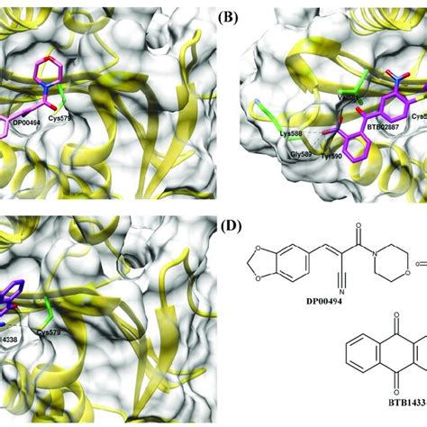 Binding Mode Of Active Compounds A Dp Pink B Btb