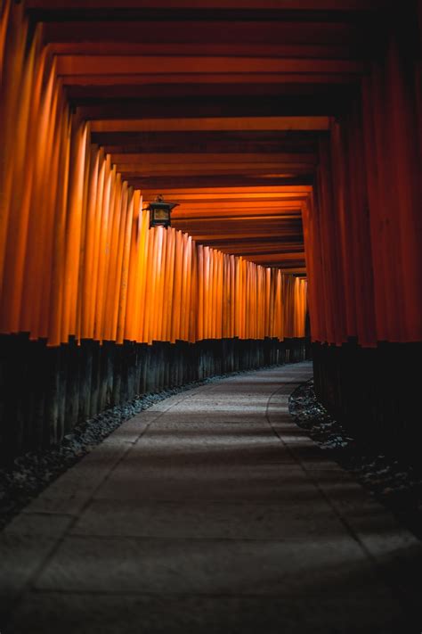 Architecture,japan,kyoto,shinto,tourist attraction - free image from ...