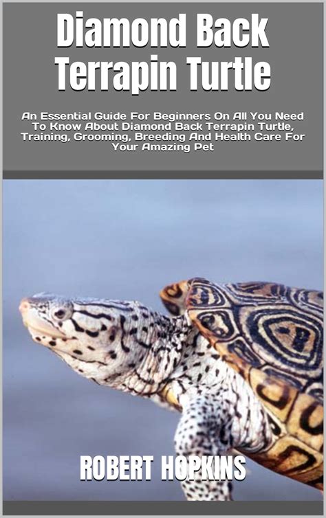 Buy Diamond Back Terrapin Turtle An Essential Guide For Beginners On