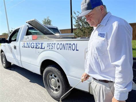 How Long will it take for Pest Control to Work? - Angel Pest Control