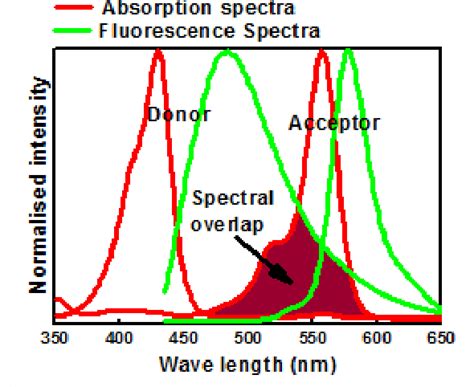 Figure From An Introduction To Fluorescence Resonance Energy Transfer