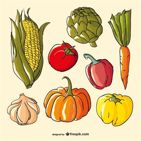 Dibujo De Frutas Y Verduras Con Color Imagui