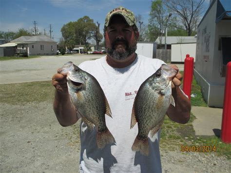 How Many 3lb Crappie Page 2