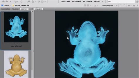 How To Creaete X Ray Effect In Photoshop