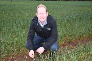 Growers Given Easy Access To Crop Variety Disease Ratings Grdc