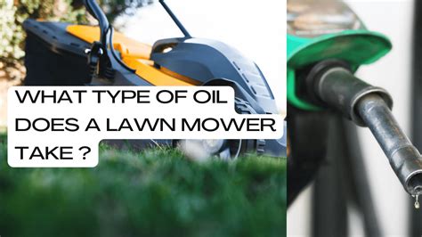 What Type Of Oil Does A Push Mower Take