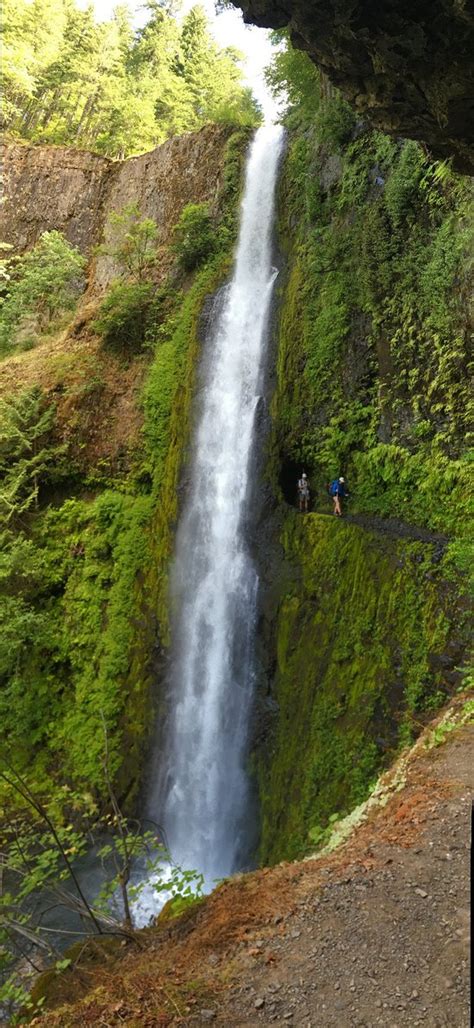 Eagle Creek Trail Park Portland 2019 All You Need To Know Before