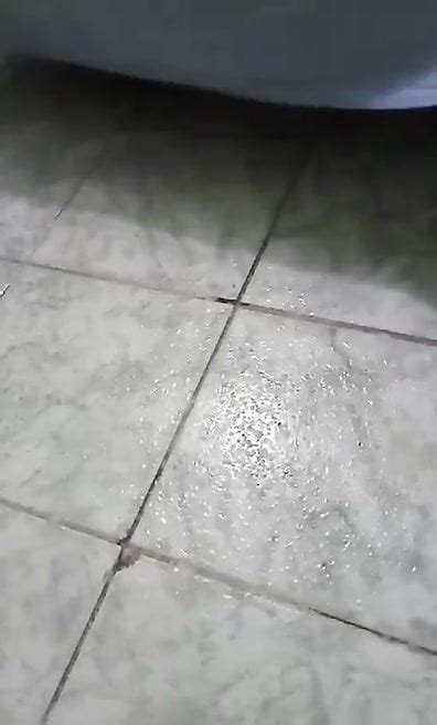 Amand Free Webcam Porn Video 77 XHamster