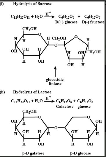 Sucrose Acid Hydrolysis