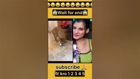 Funny😃😃😃😃 Reaction Shorts Short Youtubeshorts Funny Comedy Viral Yt Subscribe