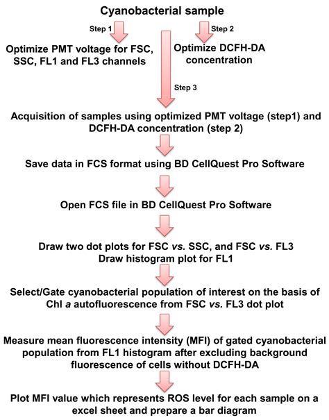 Flow Cytometry Based Measurement Of Reactive Oxygen Species In