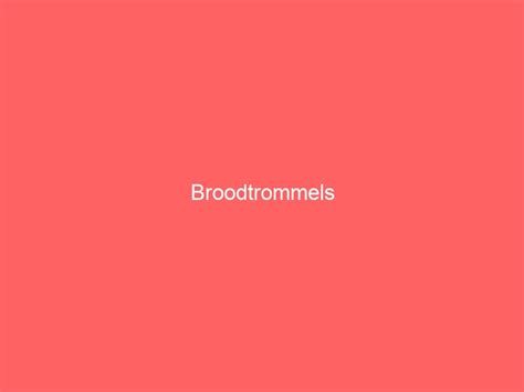 Broodtrommels Goedgeschenk Nl Cadeau Geschenken Site