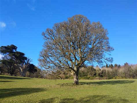 Stewardship Ards Friary Retreat And Contemplative Ecology Centre