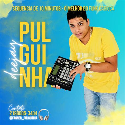 Stream Sequencia Minutos Agosto Dj Pulguinha O Melhor Do