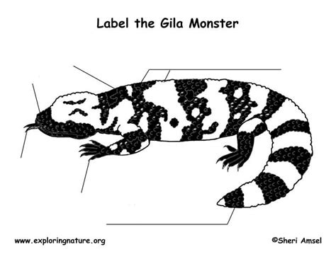 Gila Monster Labeling Page