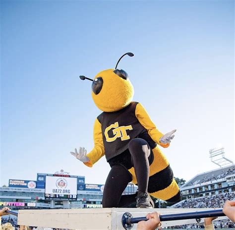 Buzz | Mascot Hall of Fame