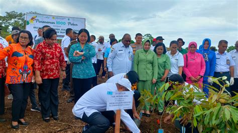 Aksi Penanaman Pohon Bersama Ibu Negara Papua Barat Dukung