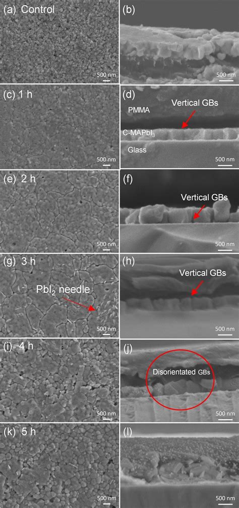 Top And Cross Sectional Sem Images Of Pmma C Mapbi A B Control Film