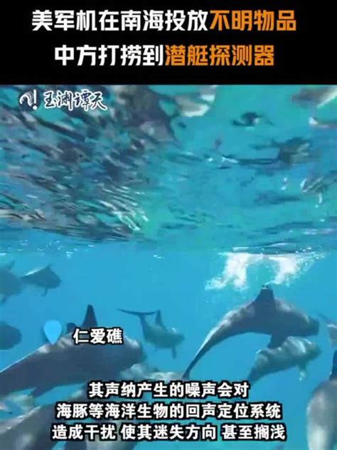 中方截获美军机在南海投放的潜艇探测器新浪新闻