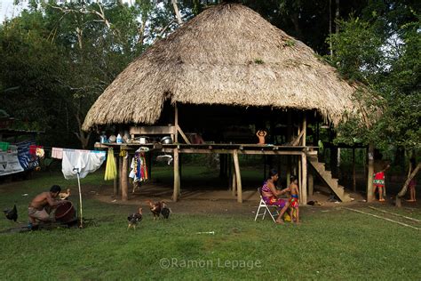 Comunidad Indígena La Chunga Comarca Embera Wounaan En La Provincia