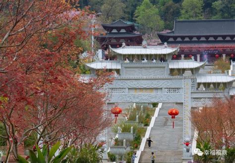 观摩金牌旅游村！