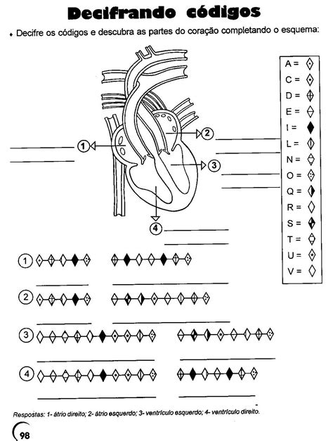 Atividade Sobre Sistema Cardiovascular Ano Epnedu