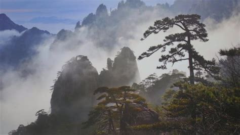 Huangshan Geopark (China): Top Tips Before You Go - TripAdvisor