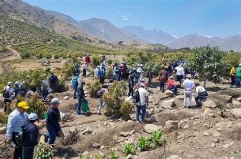 M S De Peque Os Agricultores De Vir Son Capacitados