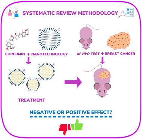 Frontiers In Vivo Efficacy And Toxicity Of Curcumin Nanoparticles In