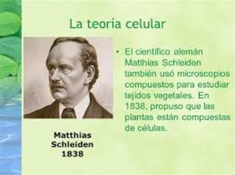 Teoría celular de Matthias Schleiden: Descubre el fundamento de la ...