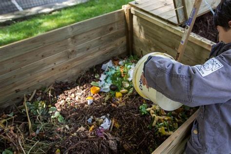 C T Jardin Autour Du Compost Atelier Ville De Carvin