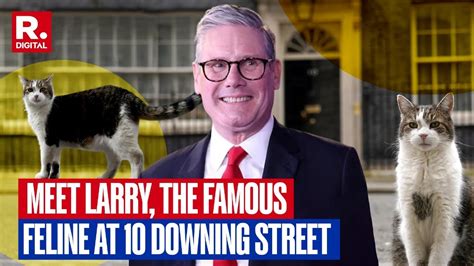 10 Downing Street S Chief Mouser Larry Outlasts 5 UK PMs Now