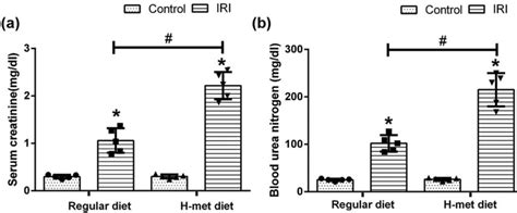 Hhcy Exacerbates Iri Induced Renal Dysfunction A The Level Of Serum