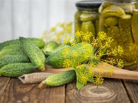 Pepinos Em Conserva Em Frascos De Vidro E Pepinos Frescos E Especiarias